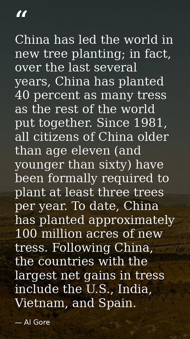 China has led the world in new tree planting; in fact, over the last several years, China has planted 40 percent as many — Al Gore