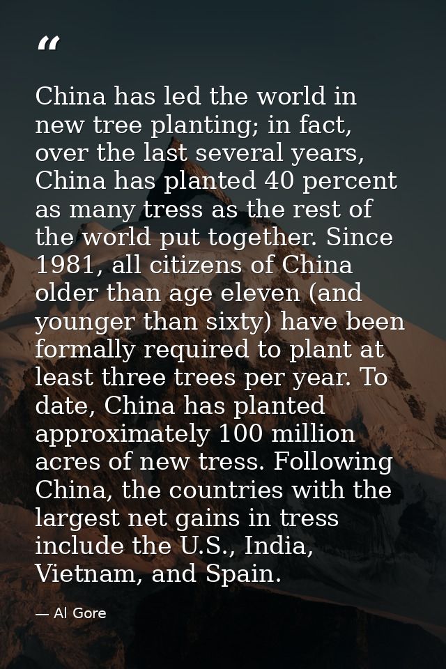 China has led the world in new tree planting; in fact, over the last several years, China has planted 40 percent as many — Al Gore