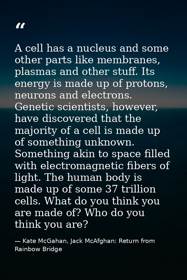 A cell has a nucleus and some other parts like membranes, plasmas and other stuff. Its energy is made up of protons, neu — Kate McGahan, Jack McAfghan: Return from Rainbow Bridge