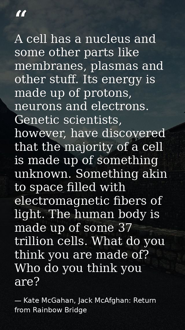 A cell has a nucleus and some other parts like membranes, plasmas and other stuff. Its energy is made up of protons, neu — Kate McGahan, Jack McAfghan: Return from Rainbow Bridge