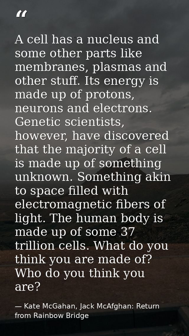 A cell has a nucleus and some other parts like membranes, plasmas and other stuff. Its energy is made up of protons, neu — Kate McGahan, Jack McAfghan: Return from Rainbow Bridge