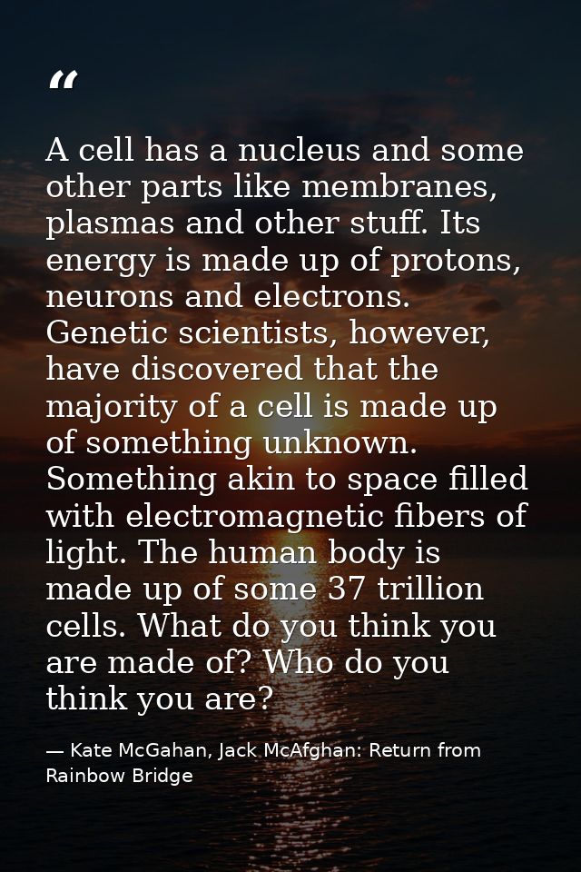 A cell has a nucleus and some other parts like membranes, plasmas and other stuff. Its energy is made up of protons, neu — Kate McGahan, Jack McAfghan: Return from Rainbow Bridge