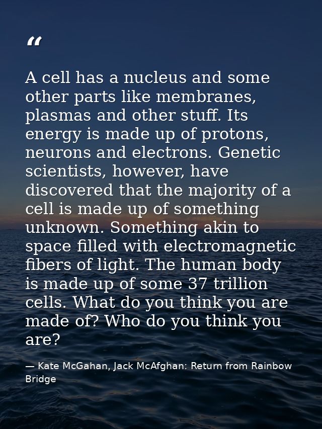 A cell has a nucleus and some other parts like membranes, plasmas and other stuff. Its energy is made up of protons, neu — Kate McGahan, Jack McAfghan: Return from Rainbow Bridge