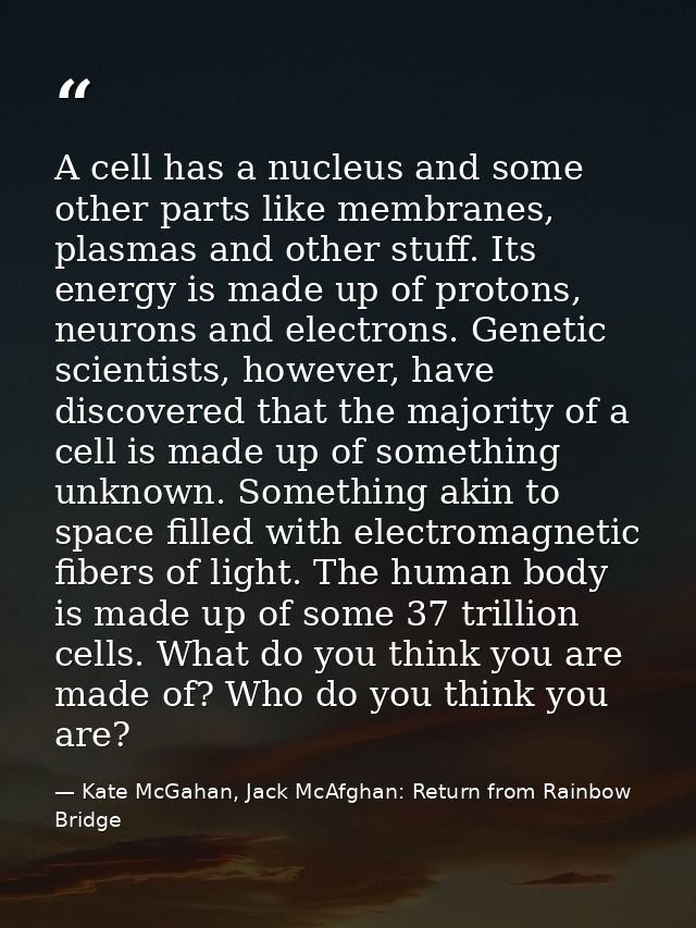 A cell has a nucleus and some other parts like membranes, plasmas and other stuff. Its energy is made up of protons, neu — Kate McGahan, Jack McAfghan: Return from Rainbow Bridge