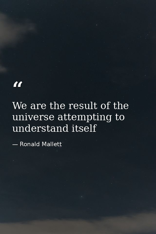 We are the result of the universe attempting to understand itself — Ronald Mallett