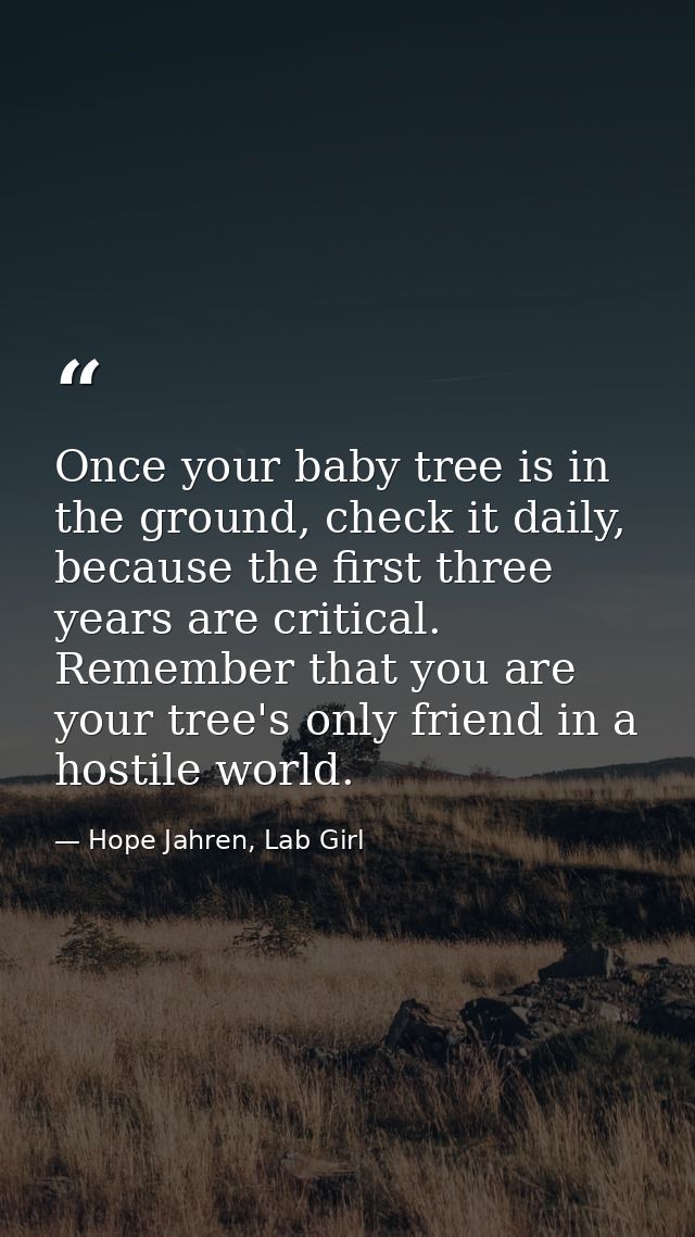 Once your baby tree is in the ground, check it daily, because the first three years are critical. Remember that you are  — Hope Jahren, Lab Girl