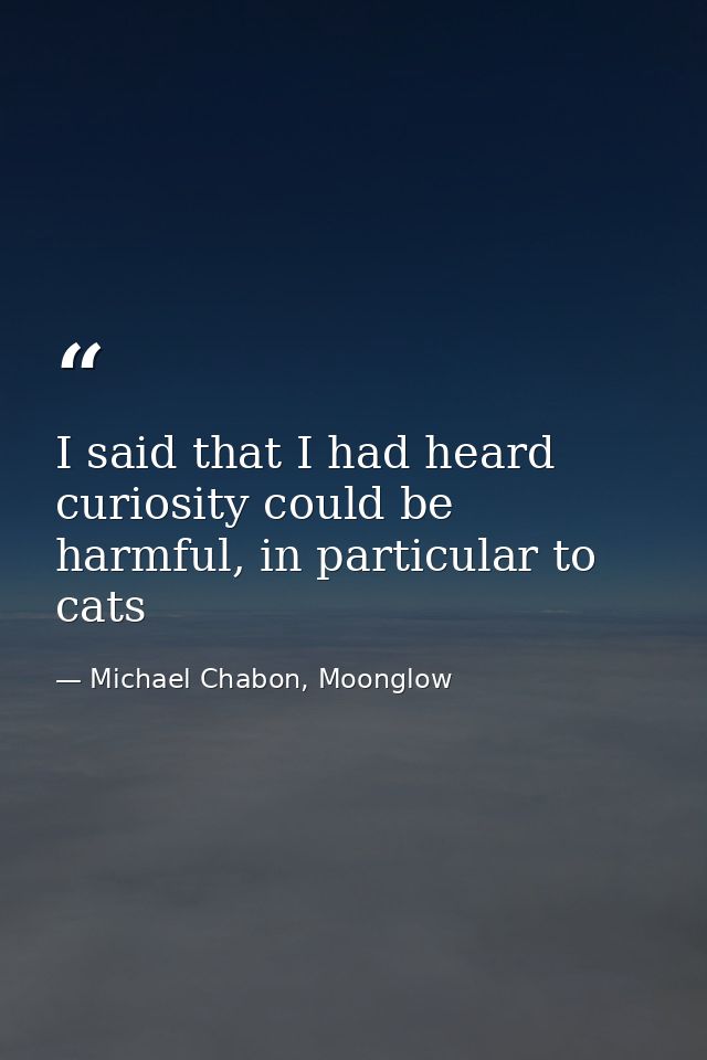 I said that I had heard curiosity could be harmful, in particular to cats — Michael Chabon, Moonglow