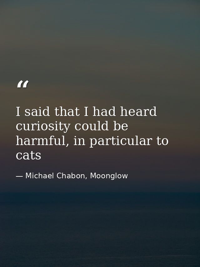 I said that I had heard curiosity could be harmful, in particular to cats — Michael Chabon, Moonglow
