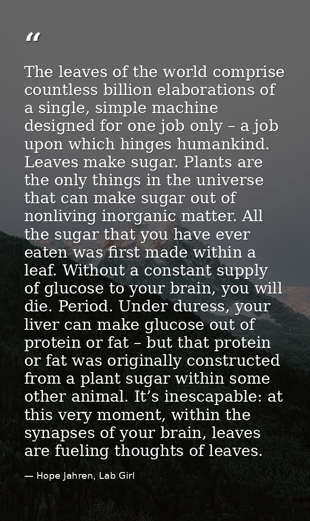 The leaves of the world comprise countless billion elaborations of a single, simple machine designed for one job only –  — Hope Jahren, Lab Girl