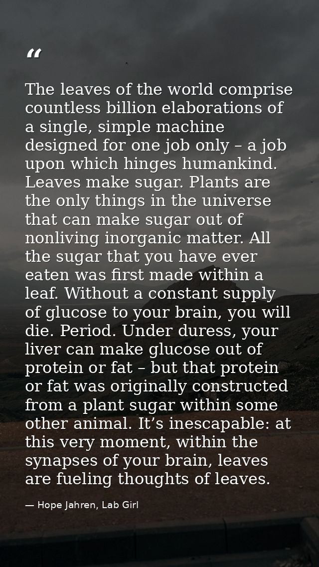 The leaves of the world comprise countless billion elaborations of a single, simple machine designed for one job only –  — Hope Jahren, Lab Girl