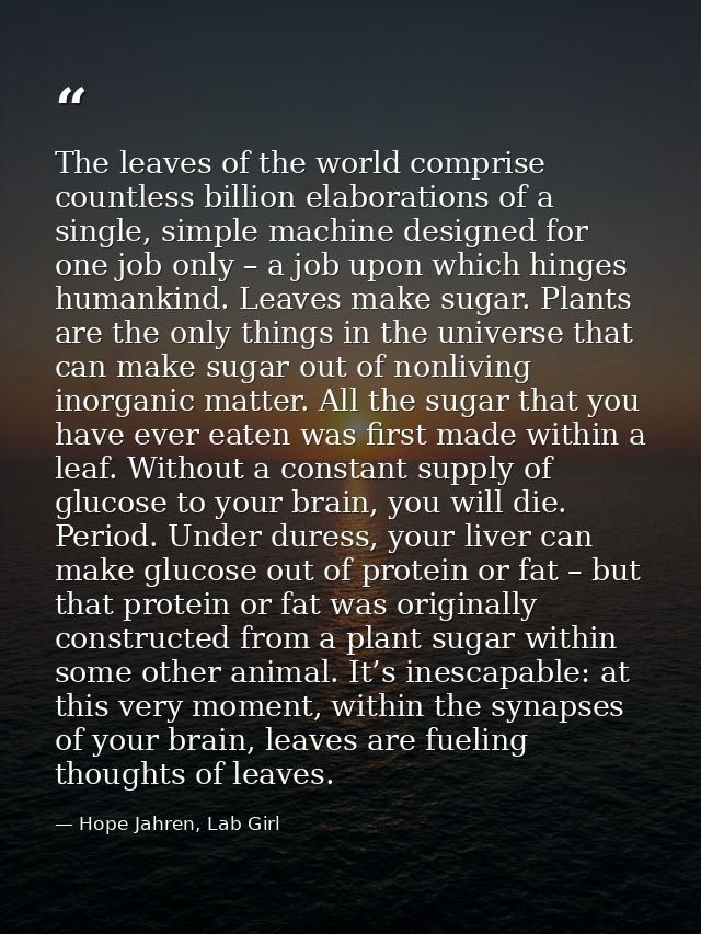 The leaves of the world comprise countless billion elaborations of a single, simple machine designed for one job only –  — Hope Jahren, Lab Girl