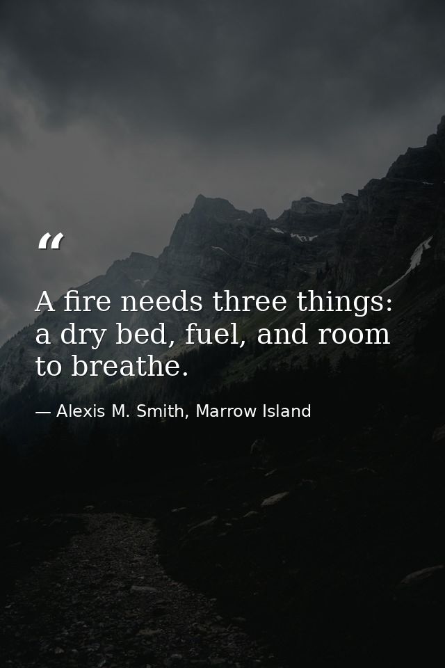 A fire needs three things: a dry bed, fuel, and room to breathe. — Alexis M. Smith, Marrow Island