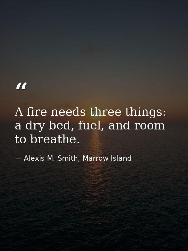 A fire needs three things: a dry bed, fuel, and room to breathe. — Alexis M. Smith, Marrow Island