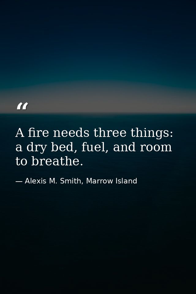 A fire needs three things: a dry bed, fuel, and room to breathe. — Alexis M. Smith, Marrow Island