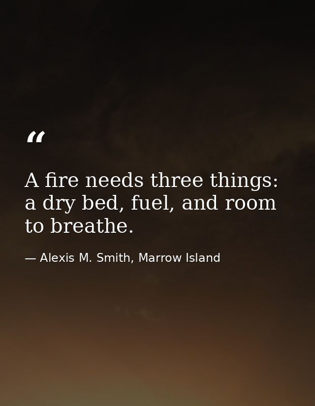 A fire needs three things: a dry bed, fuel, and room to breathe. — Alexis M. Smith, Marrow Island
