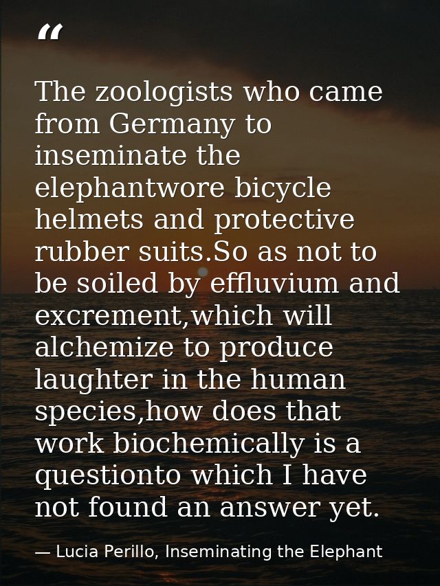 The zoologists who came from Germany to inseminate the elephantwore bicycle helmets and protective rubber suits.So as no — Lucia Perillo, Inseminating the Elephant