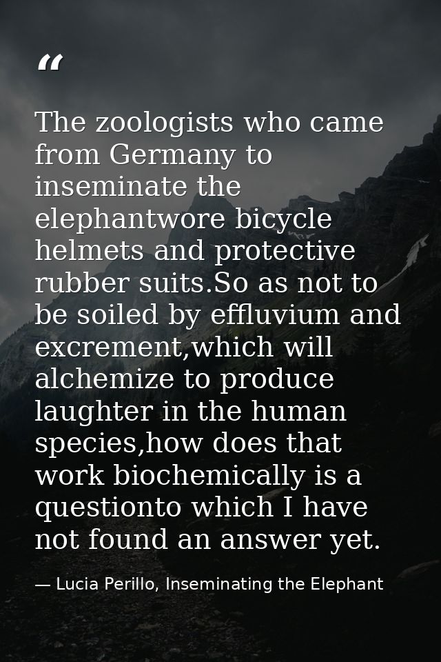 The zoologists who came from Germany to inseminate the elephantwore bicycle helmets and protective rubber suits.So as no — Lucia Perillo, Inseminating the Elephant