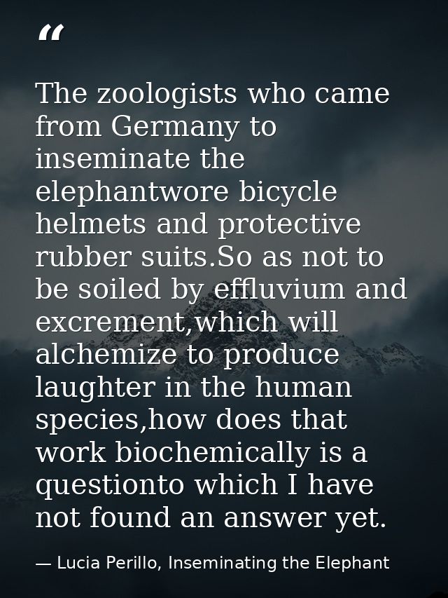 The zoologists who came from Germany to inseminate the elephantwore bicycle helmets and protective rubber suits.So as no — Lucia Perillo, Inseminating the Elephant
