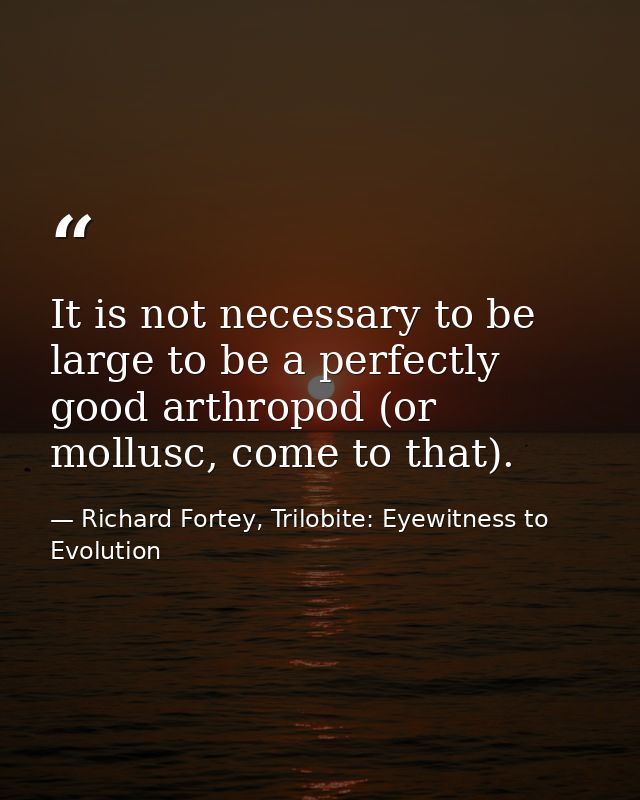 It is not necessary to be large to be a perfectly good arthropod (or mollusc, come to that). — Richard Fortey, Trilobite: Eyewitness to Evolution