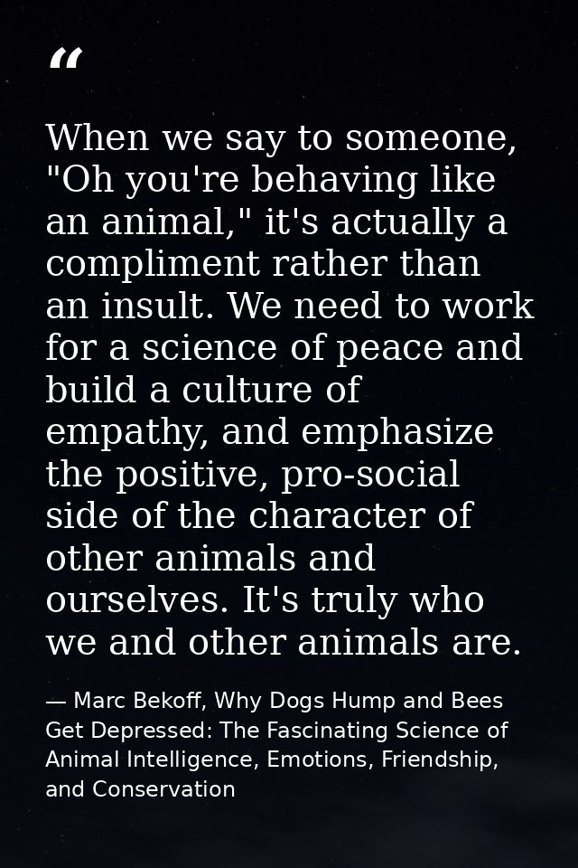 When we say to someone, "Oh you're behaving like an animal," it's actually a compliment rather than an insult. We need t — Marc Bekoff, Why Dogs Hump and Bees Get Depressed: The Fascinating Science of Animal Intelligence, Emotions, Friendship, and Conservation