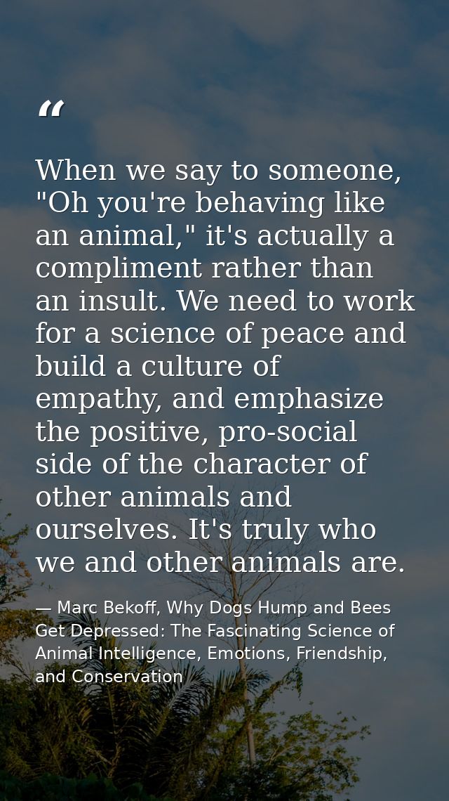 When we say to someone, "Oh you're behaving like an animal," it's actually a compliment rather than an insult. We need t — Marc Bekoff, Why Dogs Hump and Bees Get Depressed: The Fascinating Science of Animal Intelligence, Emotions, Friendship, and Conservation