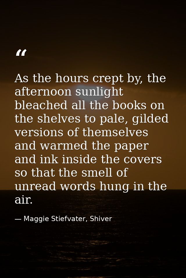 As the hours crept by, the afternoon sunlight bleached all the books on the shelves to pale, gilded versions of themselv — Maggie Stiefvater, Shiver