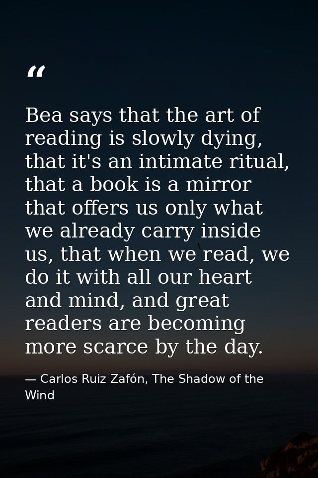 Bea says that the art of reading is slowly dying, that it's an intimate ritual, that a book is a mirror that offers us o — Carlos Ruiz Zafón, The Shadow of the Wind
