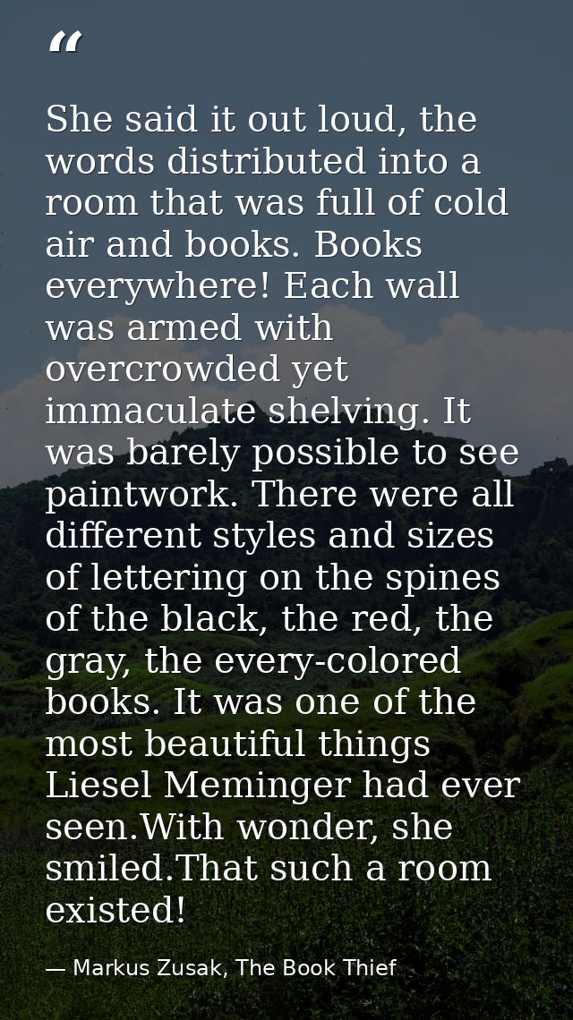 She said it out loud, the words distributed into a room that was full of cold air and books. Books everywhere! Each wall — Markus Zusak, The Book Thief