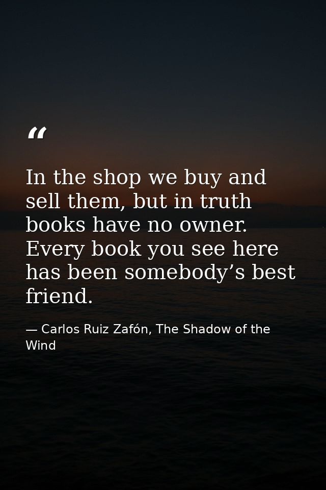 In the shop we buy and sell them, but in truth books have no owner. Every book you see here has been somebody’s best fri — Carlos Ruiz Zafón, The Shadow of the Wind