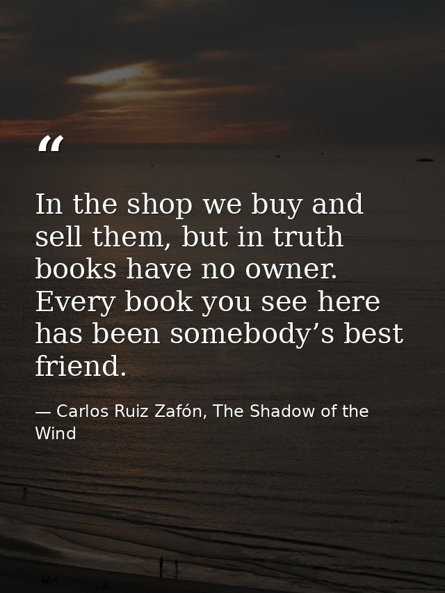 In the shop we buy and sell them, but in truth books have no owner. Every book you see here has been somebody’s best fri — Carlos Ruiz Zafón, The Shadow of the Wind