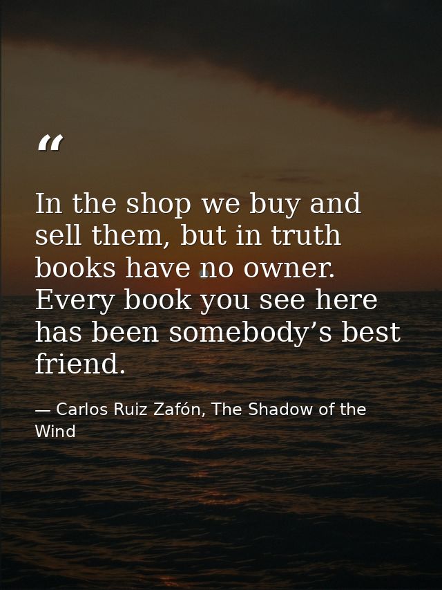 In the shop we buy and sell them, but in truth books have no owner. Every book you see here has been somebody’s best fri — Carlos Ruiz Zafón, The Shadow of the Wind