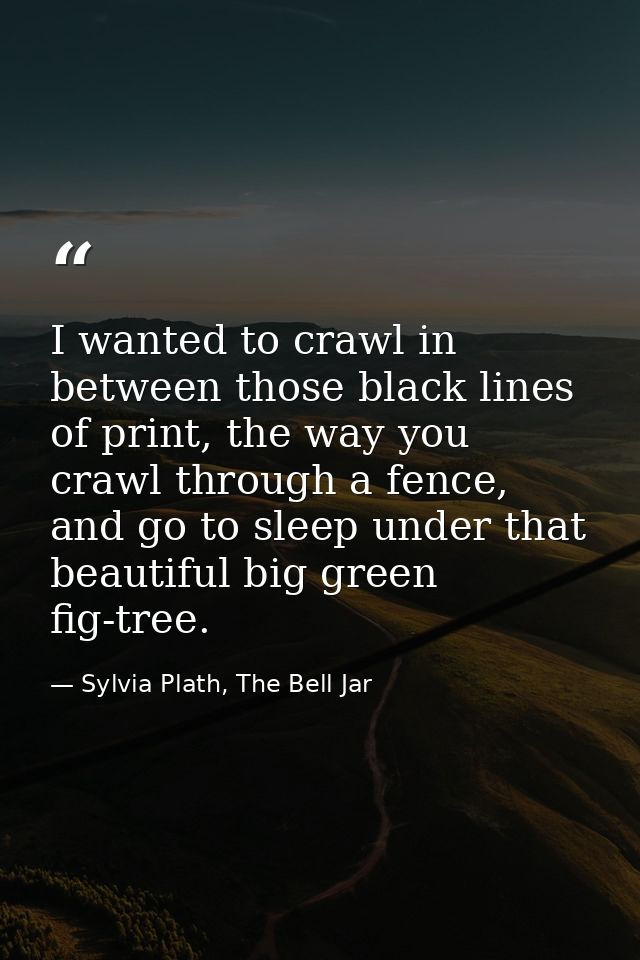 I wanted to crawl in between those black lines of print, the way you crawl through a fence, and go to sleep under that b — Sylvia Plath, The Bell Jar
