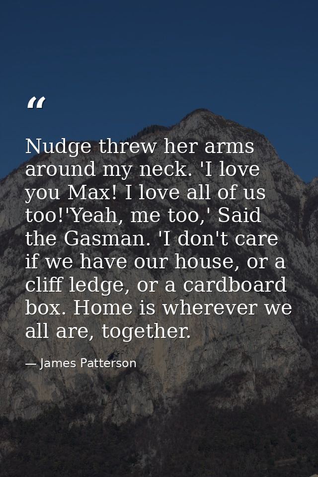 Nudge threw her arms around my neck. 'I love you Max! I love all of us too!'Yeah, me too,' Said the Gasman. 'I don't car — James Patterson