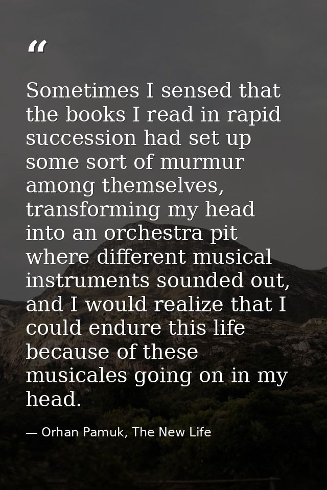 Sometimes I sensed that the books I read in rapid succession had set up some sort of murmur among themselves, transformi — Orhan Pamuk, The New Life