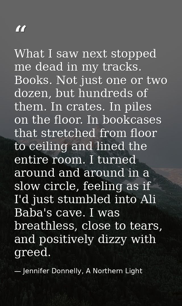 What I saw next stopped me dead in my tracks. Books. Not just one or two dozen, but hundreds of them. In crates. In pile — Jennifer Donnelly, A Northern Light