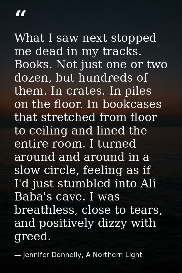 What I saw next stopped me dead in my tracks. Books. Not just one or two dozen, but hundreds of them. In crates. In pile — Jennifer Donnelly, A Northern Light
