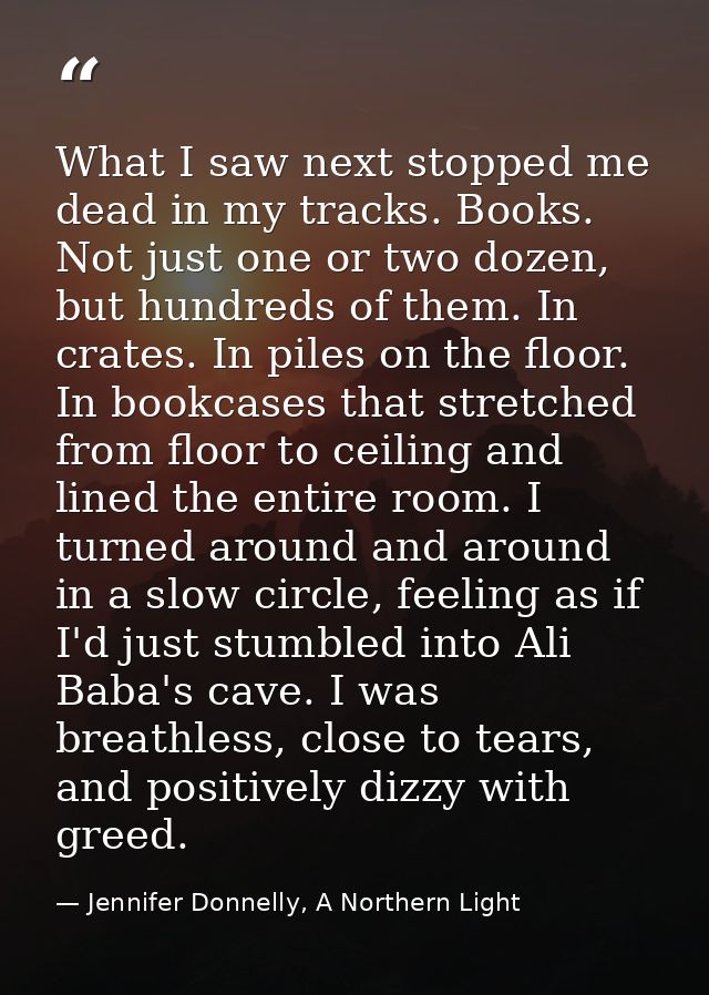 What I saw next stopped me dead in my tracks. Books. Not just one or two dozen, but hundreds of them. In crates. In pile — Jennifer Donnelly, A Northern Light
