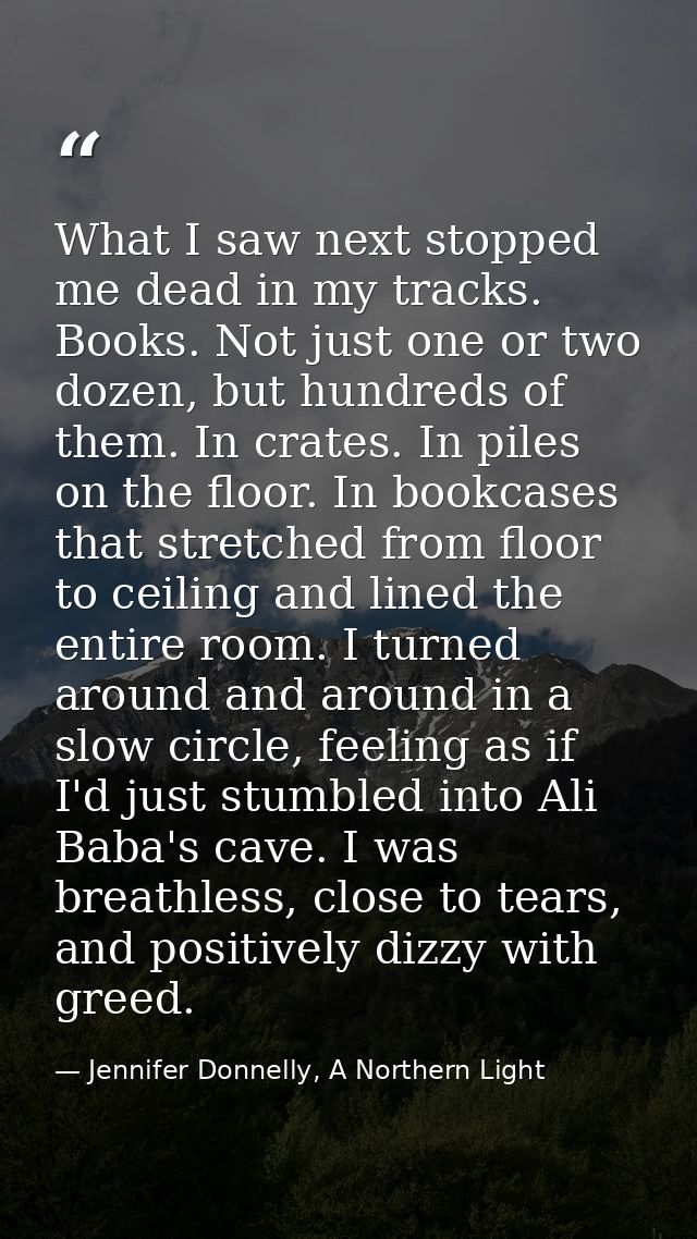 What I saw next stopped me dead in my tracks. Books. Not just one or two dozen, but hundreds of them. In crates. In pile — Jennifer Donnelly, A Northern Light