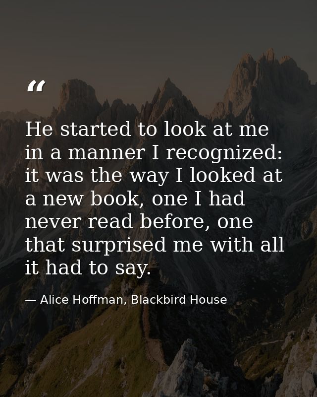 He started to look at me in a manner I recognized: it was the way I looked at a new book, one I had never read before, o — Alice Hoffman, Blackbird House