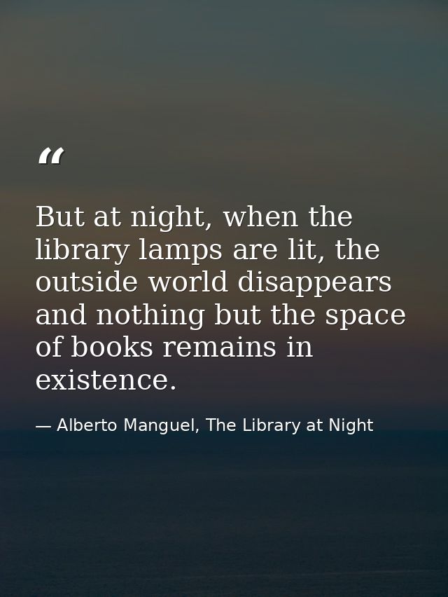 But at night, when the library lamps are lit, the outside world disappears and nothing but the space of books remains in — Alberto Manguel, The Library at Night