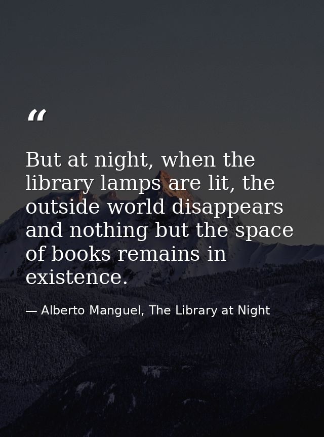 But at night, when the library lamps are lit, the outside world disappears and nothing but the space of books remains in — Alberto Manguel, The Library at Night
