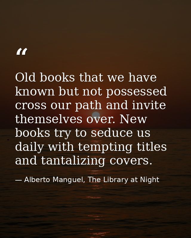 Old books that we have known but not possessed cross our path and invite themselves over. New books try to seduce us dai — Alberto Manguel, The Library at Night