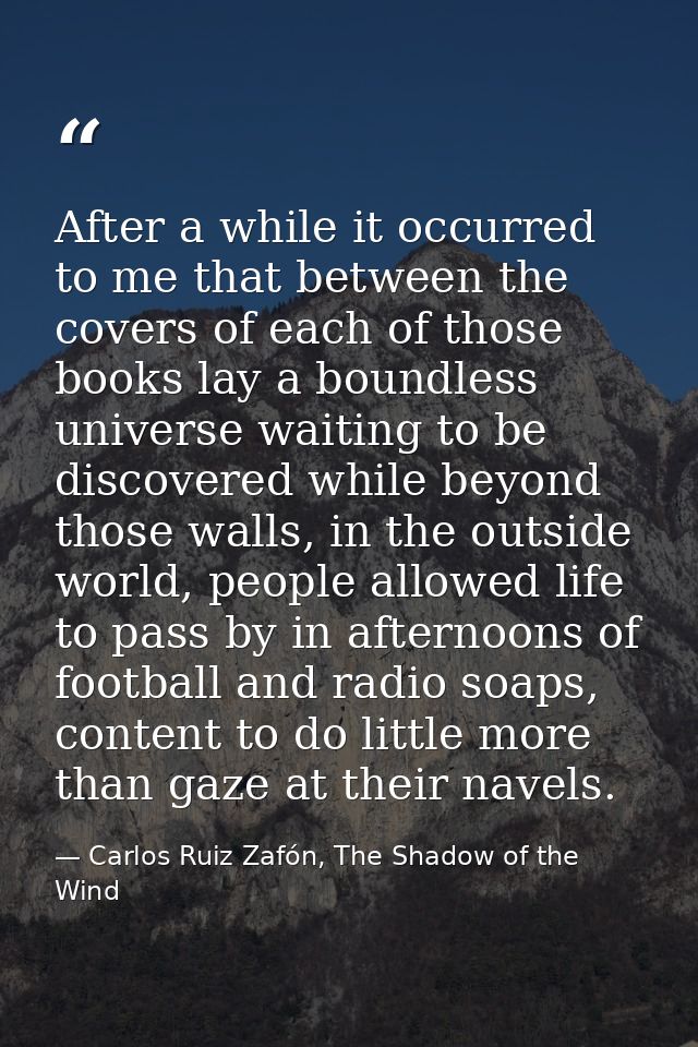 After a while it occurred to me that between the covers of each of those books lay a boundless universe waiting to be di — Carlos Ruiz Zafón, The Shadow of the Wind