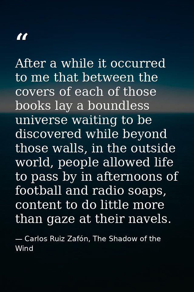 After a while it occurred to me that between the covers of each of those books lay a boundless universe waiting to be di — Carlos Ruiz Zafón, The Shadow of the Wind
