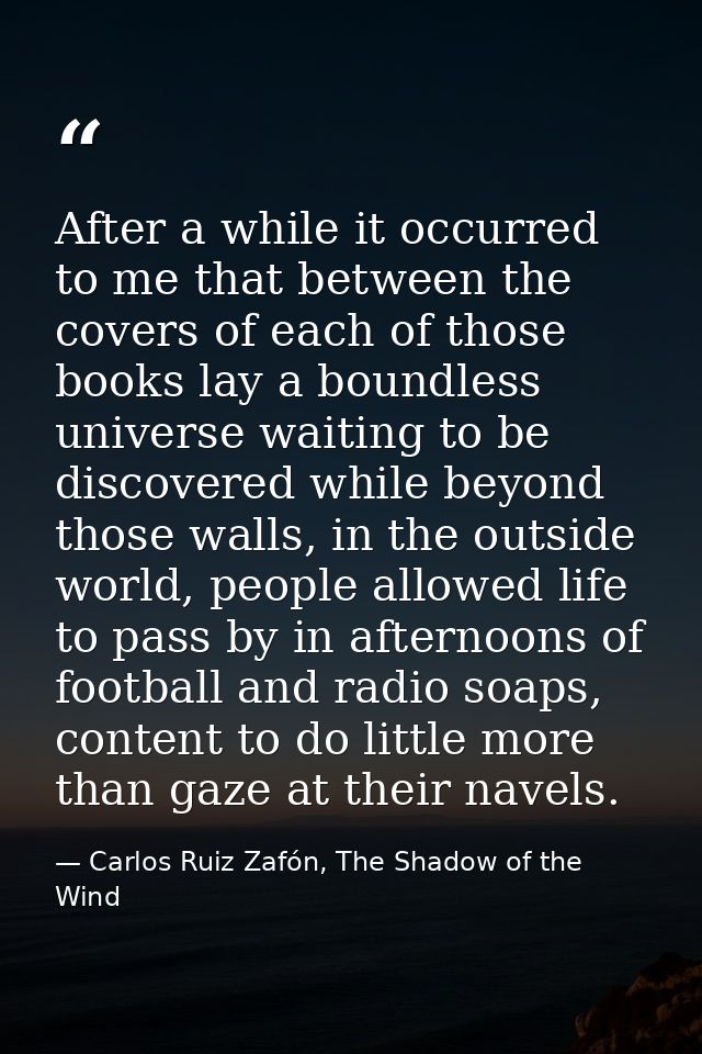 After a while it occurred to me that between the covers of each of those books lay a boundless universe waiting to be di — Carlos Ruiz Zafón, The Shadow of the Wind