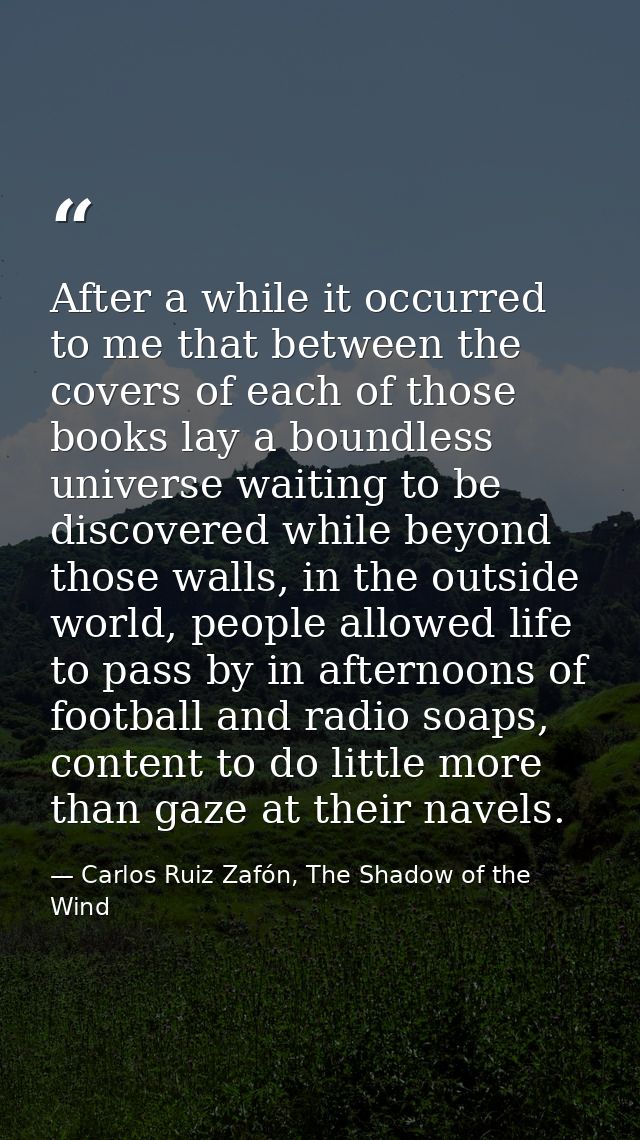 After a while it occurred to me that between the covers of each of those books lay a boundless universe waiting to be di — Carlos Ruiz Zafón, The Shadow of the Wind