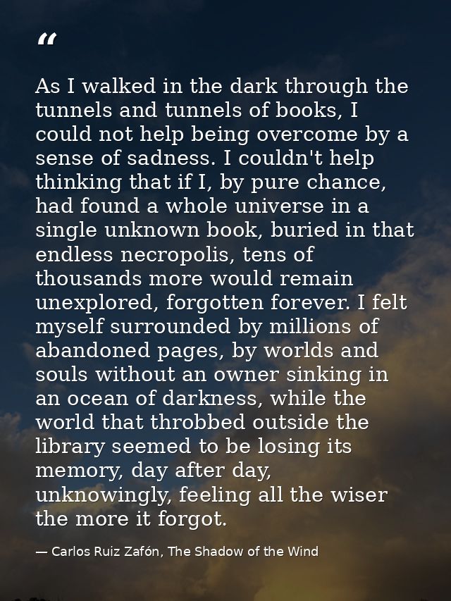 As I walked in the dark through the tunnels and tunnels of books, I could not help being overcome by a sense of sadness. — Carlos Ruiz Zafón, The Shadow of the Wind