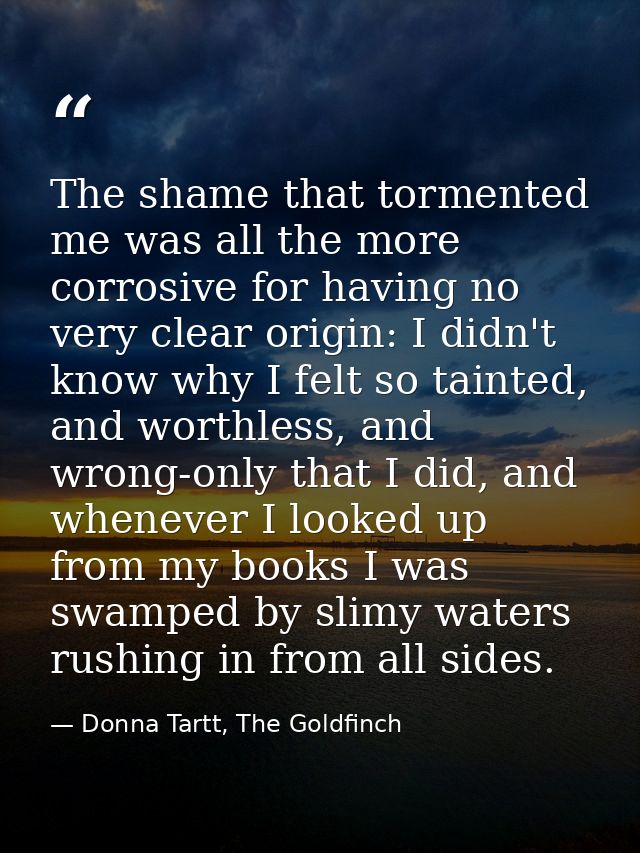 The shame that tormented me was all the more corrosive for having no very clear origin: I didn't know why I felt so tain — Donna Tartt, The Goldfinch
