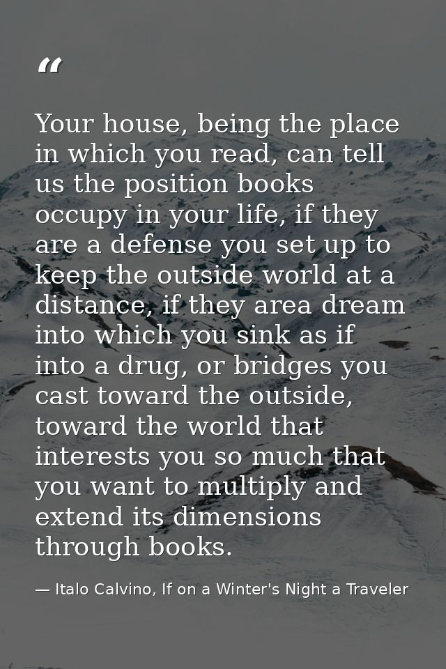 Your house, being the place in which you read, can tell us the position books occupy in your life, if they are a defense — Italo Calvino, If on a Winter's Night a Traveler