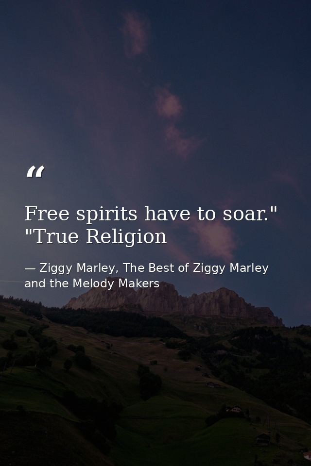 Free spirits have to soar." "True Religion — Ziggy Marley, The Best of Ziggy Marley and the Melody Makers